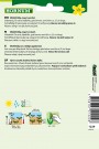 Bønne, Stang- 'Neckargold' (Phaseolus vulgaris vulgaris) thumbnail