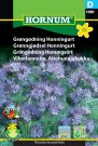 Grønngjødsel Honningurt '' (Phacelia tanacetifolia) thumbnail