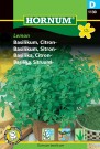 Basilikum, Sitron- 'Lemon' (Ocimum basilicum) thumbnail