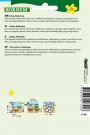 Solsikke 'Sunshine' (Helianthus annuus) thumbnail