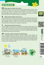 Basilikum (Ocimum basilicum) thumbnail