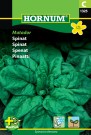 Spinat 'Matador' (Spinacia oleracea) thumbnail
