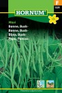 Bønne, Busk- 'Maxi' (Phaseolus vulgaris nanus) thumbnail