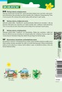 Indianermynte, Vanlig (Agastache foeniculum) thumbnail