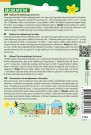Salat, Hode- 'Attractie' (Lactuca sativa capitata) thumbnail