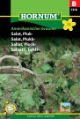 Salat, Plukk- 'Amerikanischer brauner' (Lactuca sativa acephala) thumbnail