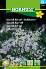 Spansk kjørvel (Myrrhis odorata) thumbnail
