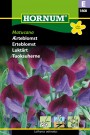 Erteblomst 'Matucana' (Lathyrus odoratus) thumbnail