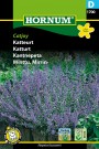 Katturt 'Catjoy' (Nepeta faassenii) thumbnail