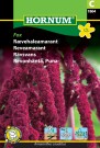 Reveamarant 'Fox' (Amaranthus caudatus) thumbnail