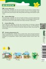 Salat, Hode- 'Merveille des quatre Saisons' (Lactuca sativa capitata) thumbnail