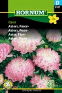 Asters, Peon- 'Opus' (Callistephus chinensis) thumbnail