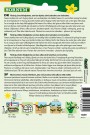 Stevia  (Stevia rebaudiana) thumbnail
