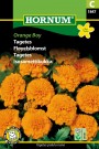 Fløyelsblomst 'Orange Boy' (Tagetes patula nana) thumbnail