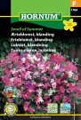 Erteblomst, blanding 'Smell of Summer' (Lathyrus odoratus) thumbnail