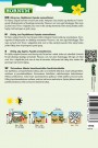Fløyelsblomst 'Petite Gelb' (Tagetes patula nana) thumbnail