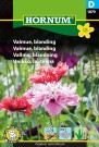 Valmue, blanding  (Papaver somniferum) thumbnail