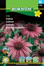 Solhatt 'Clio' (Echinacea purpurea) thumbnail