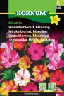 Mirakelblomst, blanding 'Mirabilis' (Mirabilis jalapa L.) thumbnail