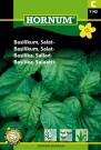 Basilikum, Salat- (Ocimum basilicum) thumbnail