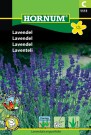 Lavendel '' (Lavandula angustifolia) thumbnail