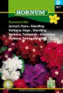 Verbena, Hage-, blanding 'Romance Mix' (Verbena x hybrida compacta) thumbnail
