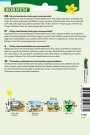 Portulakk, Hage- (Portulaca oleracea sativa) thumbnail