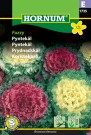 Pyntekål 'Fuzzy' (Brassica oleracea) thumbnail