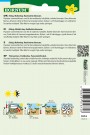 Pyntekorg 'Double Click Cranberries' (Cosmos bipinnatus) thumbnail