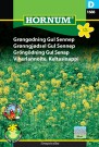 Grønngjødsel Gul Sennep (Sinapsis alba) thumbnail