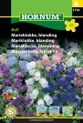 Mariklokke, blanding 'Bell' (Campanula medium) thumbnail