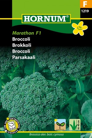 Brokkoli 'Marathon F1' (Brassica oler. botr. cymosa)