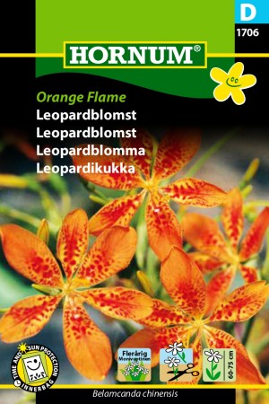 Leopardblomst 'Orange Flame' (Belamcanda chinensis)