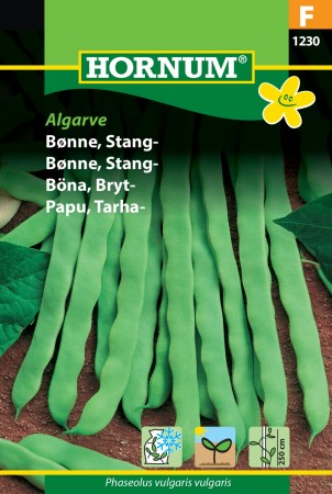 Bønne, Stang- 'Algarve' (Phaseolus vulgaris vulgaris)