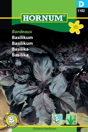 Basilikum 'Bordeaux' (Ocimum basilicum)