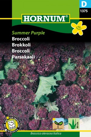 Brokkoli 'Summer Purple' (Brassica oleracea Italica)