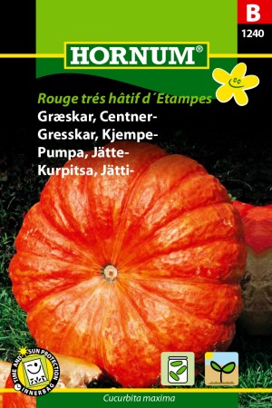 Gresskar, Kjempe- 'Rouge trés hâtif d´Etampes' (Cucurbita maxima)
