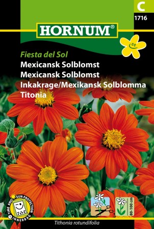 Mexicansk Solblomst 'Fiesta del Sol' (Tithonia rotundifolia)