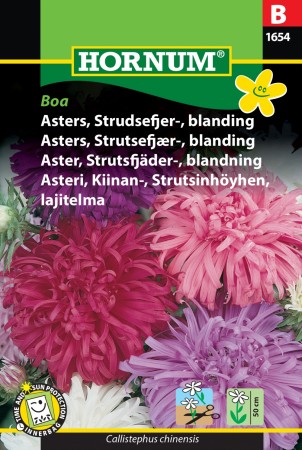 Asters, Strudsefjer-, blanding 'Boa' (Callistephus chinensis)