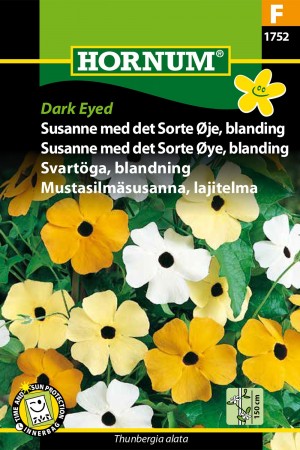 Susanne med det Sorte Øye, blanding 'Dark Eyed' (Thunbergia alata)
