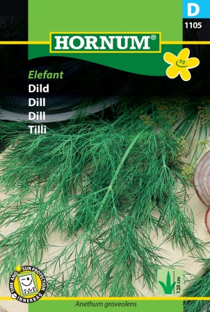 Dill 'Elefant' (Anethum graveolens)