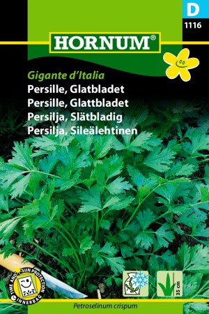 Persille, Glattbladet 'Gigante d’Italia' (Petroselinum crispum)