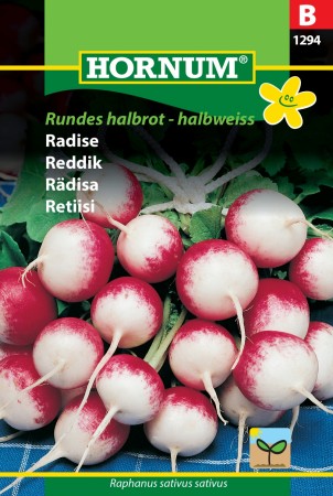 Reddik 'Rundes halbrot - halbweiss' (Raphanus sativus sativus)