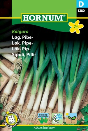 Løk, Pipe- 'Kaigaro' (Allium fistulosum)