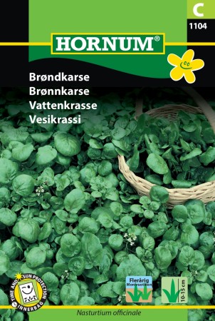 Brønnkarse  (Nasturtium officinale)