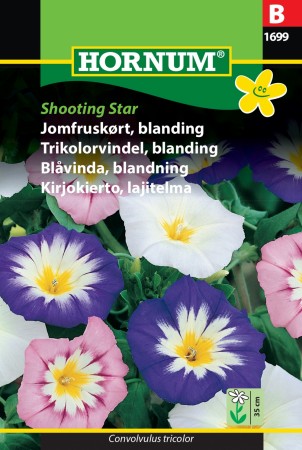 Trikolorvindel, blanding 'Shooting Star' (Convolvulus tricolor)