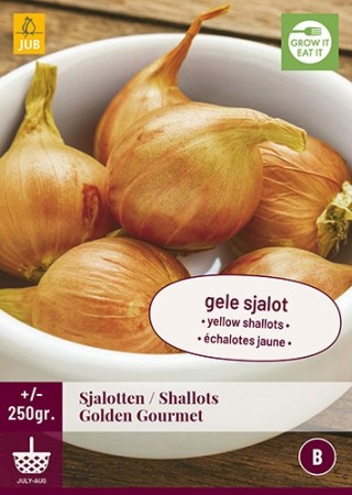 Sjalottløk 'Golden Gormet'  (allium c.) 250gram (leveres fra uke 14)