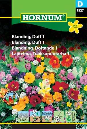 Blanding, Duft 1 