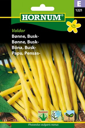 Bønne, Busk- 'Valdor' (Phaseolus vulgaris nanus)