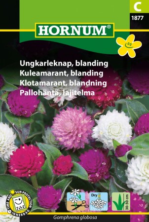 Kuleamarant, blanding '' (Gomphrena globosa)